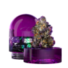 Wizard Trees Black MagicB