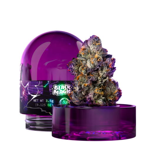 Wizard Trees Black MagicB